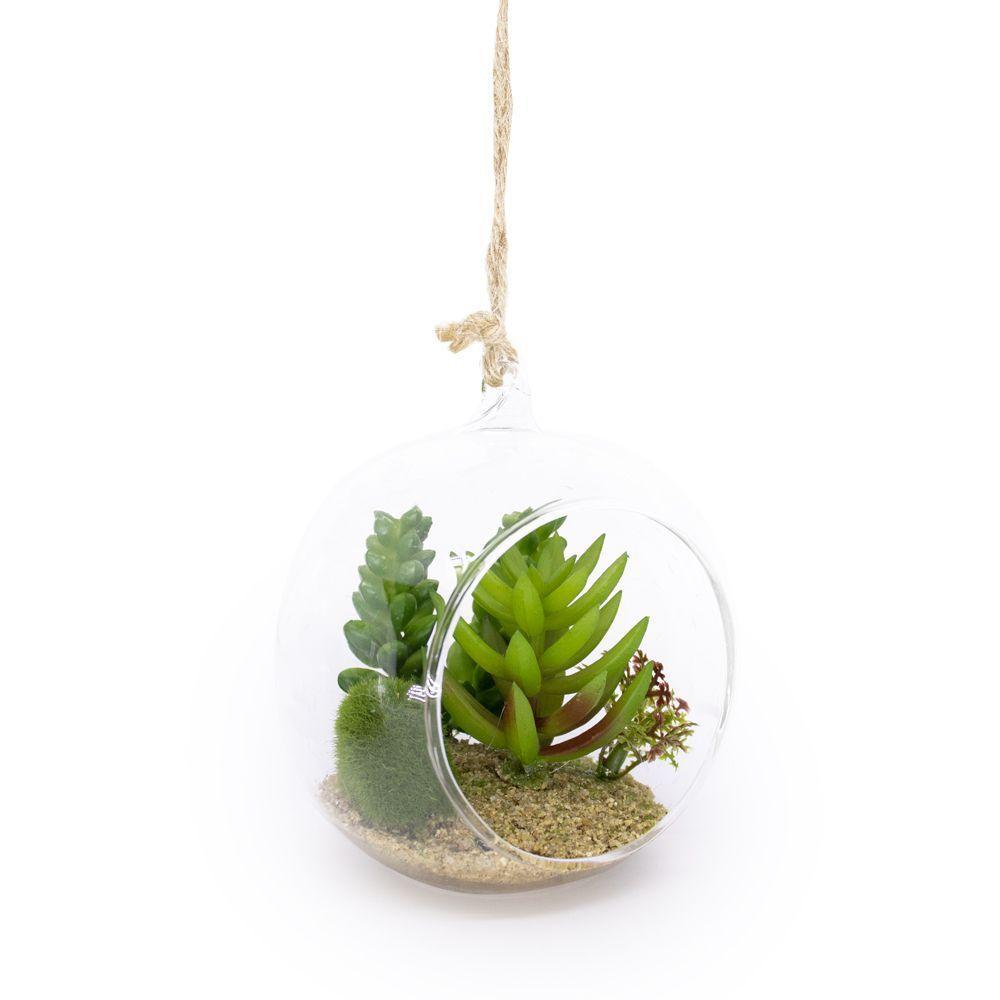 Flor Suculenta Com Vaso De Vidro Para Pendurar Sala Verde 11 Cm F04 - D'rossi - 1