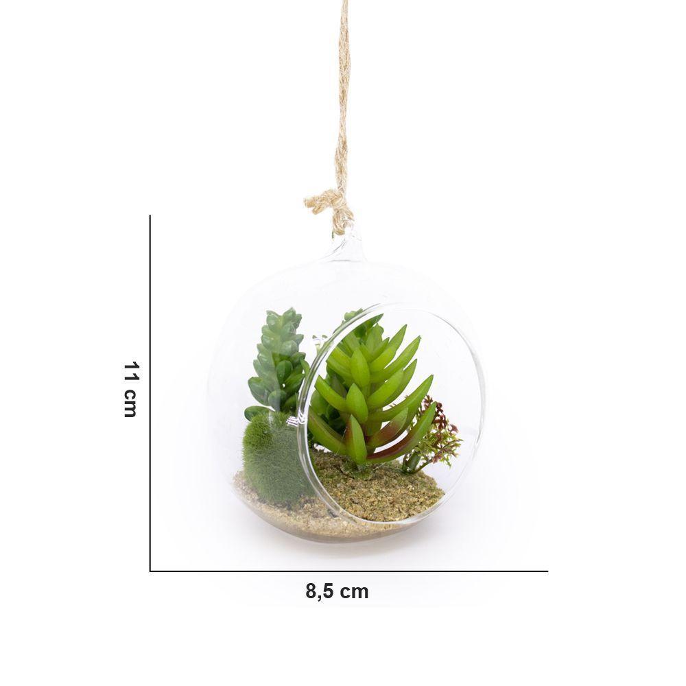 Flor Suculenta Com Vaso De Vidro Para Pendurar Sala Verde 11 Cm F04 - D'rossi - 2