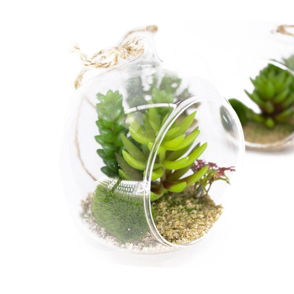 Flor Suculenta Com Vaso De Vidro Para Pendurar Sala Verde 11 Cm F04 - D'rossi - 3