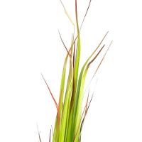 Grass Artificial Print Com Pote Real Toque Verde 2t 120 Cm F04 - D'rossi - 1