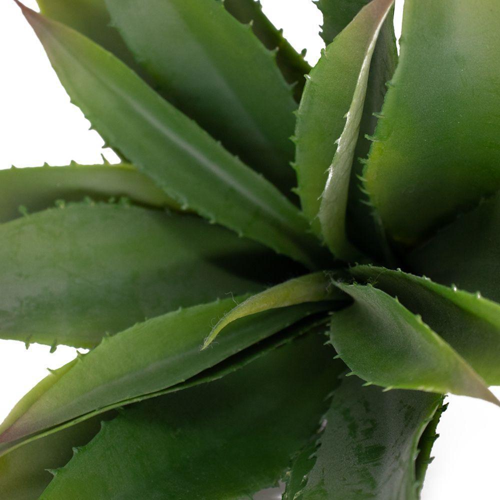 Folha Artificial Agave Com Raiz X21 Para Arranjos Verde 25 Cm F04 - D'rossi - 4