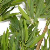 Planta Artificial Haste Bambu Real Toque X365 Verde 120 Cm F04 - D'rossi - 3