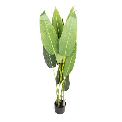 Planta Artificial Estrelícia Folhas Com Pote X12 Verde 130 Cm F04 - D'rossii