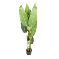 Planta Artificial Estrelícia Folhas Com Pote X12 Verde 130 Cm F04 - D'rossii - 1