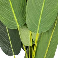 Planta Artificial Estrelícia Folhas Com Pote X12 Verde 130 Cm F04 - D'rossii - 5