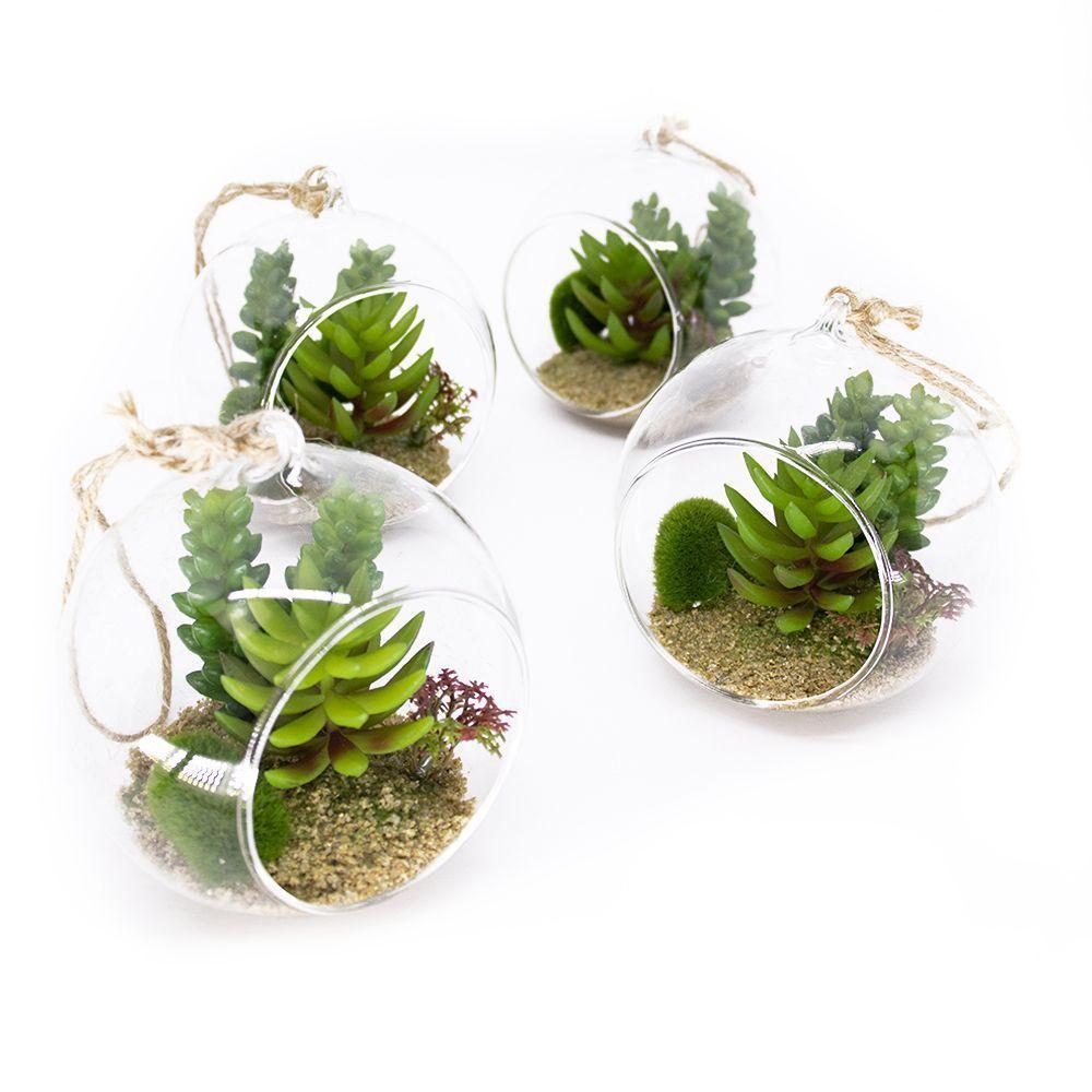 Kit 04 Flor Suculentas Com Vaso Para Pendurar Suspenso 11 Cm F04 - D'rossi - 1