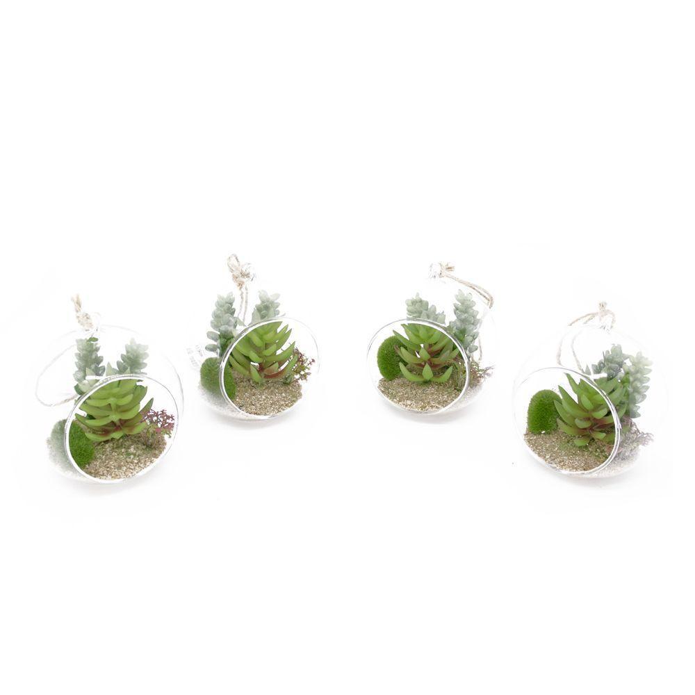 Kit 04 Flor Suculentas Com Vaso Para Pendurar Suspenso 11 Cm F04 - D'rossi - 5
