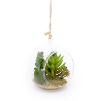 Kit 04 Flor Suculentas Com Vaso Para Pendurar Suspenso 11 Cm F04 - D'rossi - 3