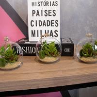 Kit 04 Flor Suculentas Com Vaso Para Pendurar Suspenso 11 Cm F04 - D'rossi - 6