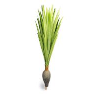 Planta Artificial Dracena Garrafa Real Toque X37 Verde 120 Cm F04 - D'rossi - 1