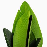 Planta Artificial Bananeira De Jardim Com Pote X6 Verde 66 Cm F04 - D'rossi - 2