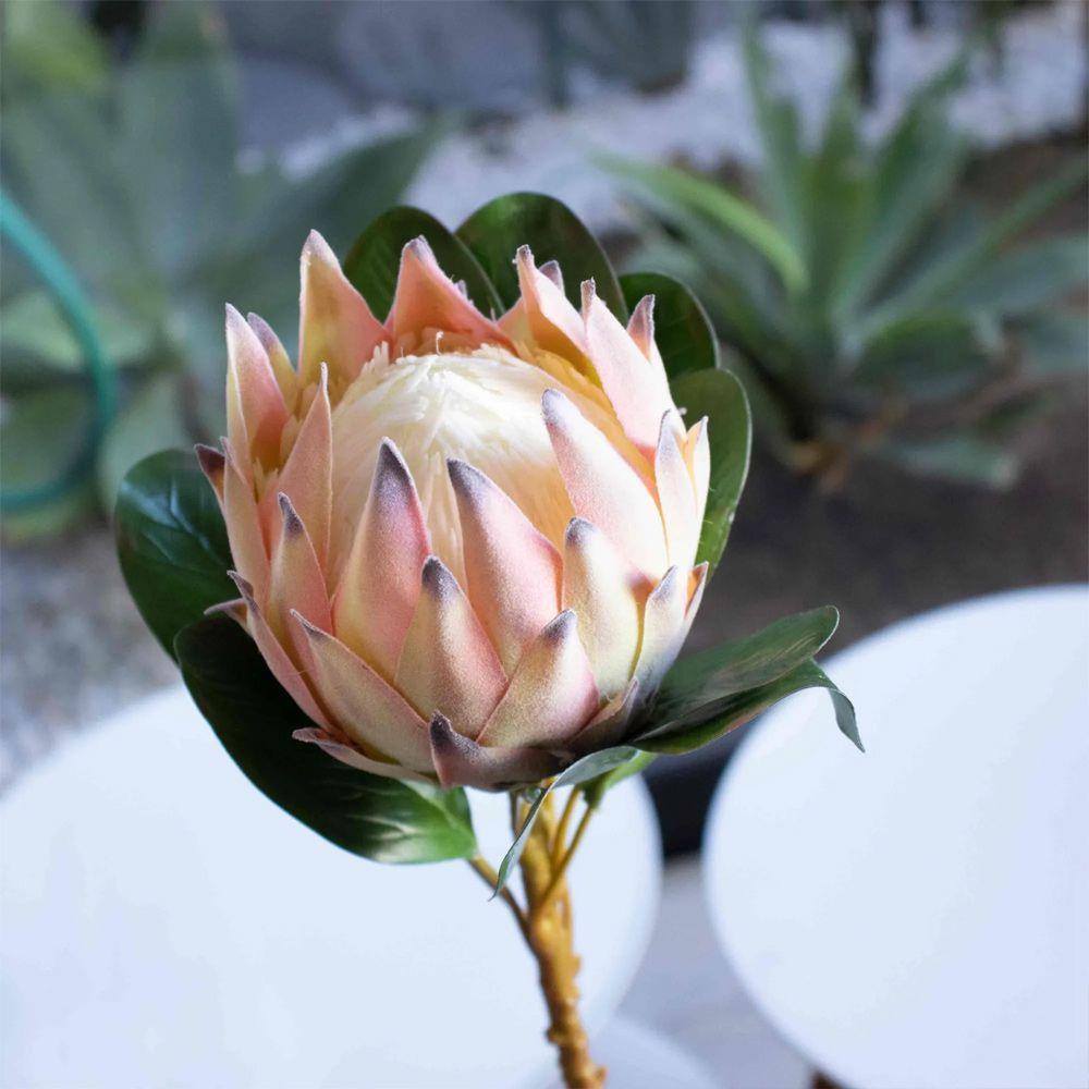 Haste De Flor Artificial Protea Frosted Com Coat Salmão 70 Cm F04 - D'rossi - 4