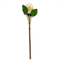 Haste De Flor Artificial Protea Frosted Com Coat Salmão 70 Cm F04 - D'rossi - 1