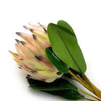 Haste De Flor Artificial Protea Frosted Com Coat Salmão 50 Cm F04 - D'rossi - 3