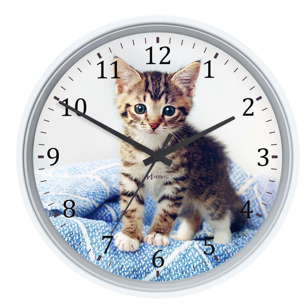 Relógio Parede Herweg Nacional 22 Cm Gatinho 660125 Branco - Branco - 1