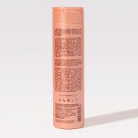Braé Revival - Shampoo 250ml - 2