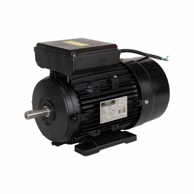 Motor Elétrico De 2cv 127/220v 60hz 1737 Rpm Bivolt Com 4 Pólos E Proteção Ip55 Yl90l-4 Lynus