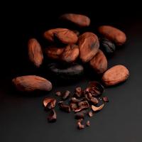 Hugo Boss The Scent Eau De Parfum - Perfume Feminino 100ml - 3