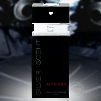 Perfume Silver Scent Intense Masculino Eau De Toilette 100ml Jacques - 3