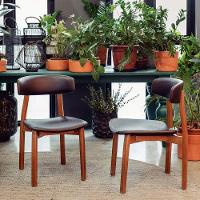 Cadeira Tramontina çairé Ritmo Em Madeira Tauari Com Estofado Café