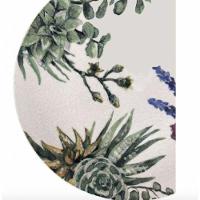 Jogo 4 Pratos Sobremesa Bothanica 18,5 Cm - Oxford - 3