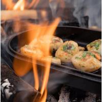 Chapa De Ferro Fundido Ooni Sizzler Com Base Em Aço Inox - 2