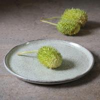 Conjunto De Pratos Fundos 06 Peças Bio Pistache Porto Brasil - 3