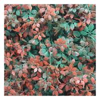 Kit 4 Placas Muro Inglês Jardim Vertical Artificial Avermelhada 40x60cm - 1