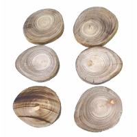 Kit C/6 Apoiador De Copo Em Eucalípto Bolacha Porta Copo - 3