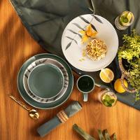 Aparelho De Jantar 16 Peças Flat Samambaia Oxford - 6