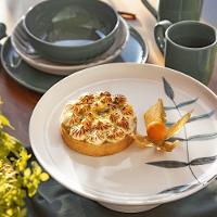 Aparelho De Jantar 16 Peças Flat Samambaia Oxford - 7