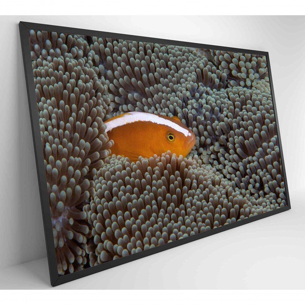 Quadro Peixe Palhaço Em Anêmona No Mar Medidas 60x40 Cm Tipo De Impressão Tecido Canvas - 4