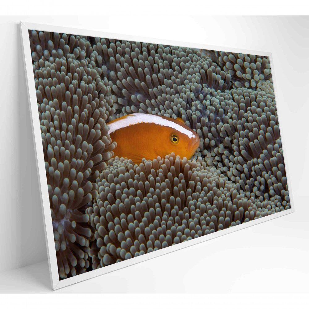 Quadro Peixe Palhaço Em Anêmona No Mar Medidas 60x40 Cm Tipo De Impressão Tecido Canvas - 5