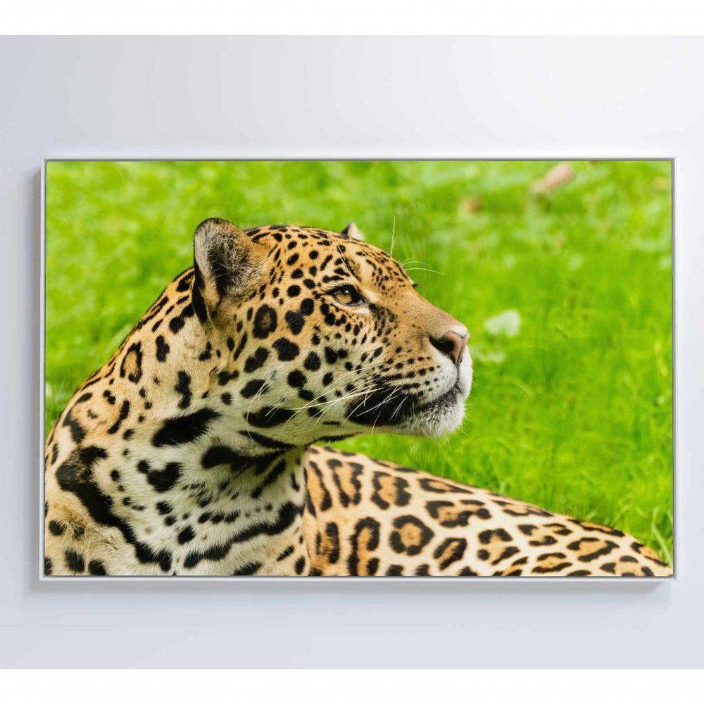 Quadro Onça Pintada No Pantanal Medidas 60x40 Cm Impressão Tecido Canvas - 2