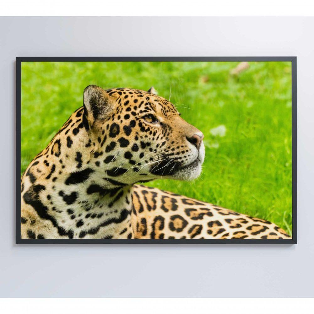 Quadro Onça Pintada No Pantanal Medidas 90x60 Cm Impressão Tecido Canvas - 3
