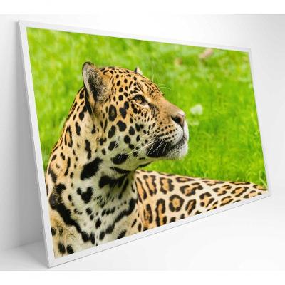 Quadro Onça Pintada No Pantanal Medidas 90x60 Cm Impressão Adesivo Fotográfico