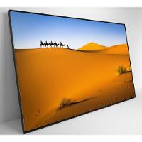 Quadro Camelos Deserto Saara Medidas 60x40 Cm Tipo De Impressão Tecido Canvas - 1