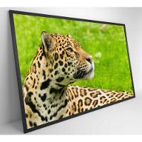 Quadro Onça Pintada No Pantanal Medidas 120x80 Cm Tipo De Impressão Tecido Canvas - 1