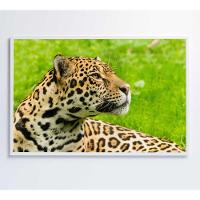 Quadro Onça Pintada No Pantanal Medidas 120x80 Cm Tipo De Impressão Tecido Canvas - 4