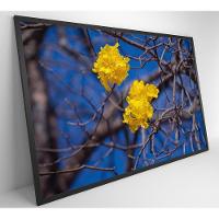 Quadro Flores De Ipê Amarelo Em árvore Do Cerrado Medidas 40x60 Cm Tipo De Impressão Tecido Canvas - 6