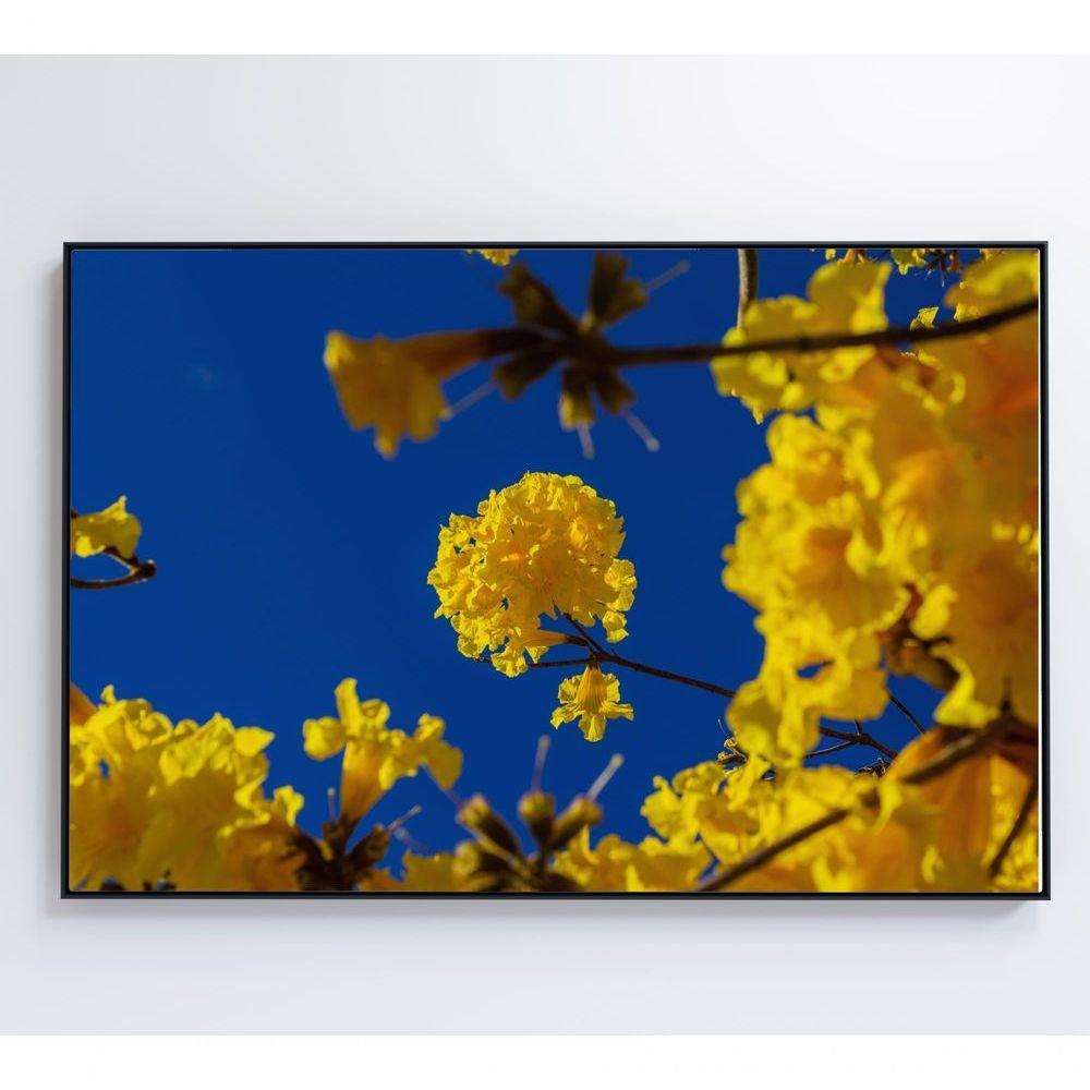 Quadro árvore Ipê Amarelo No Céu Azul Medidas 80x120 Cm Impressão Tecido Canvas - 4