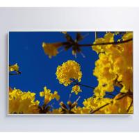 Quadro árvore Ipê Amarelo No Céu Azul Medidas 80x120 Cm Impressão Tecido Canvas - 3
