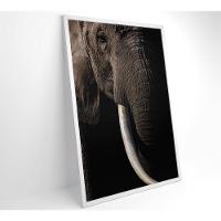 Quadro Natureza Elefante Africano Medidas 80x120 Cm Impressão Tecido Canvas - 5
