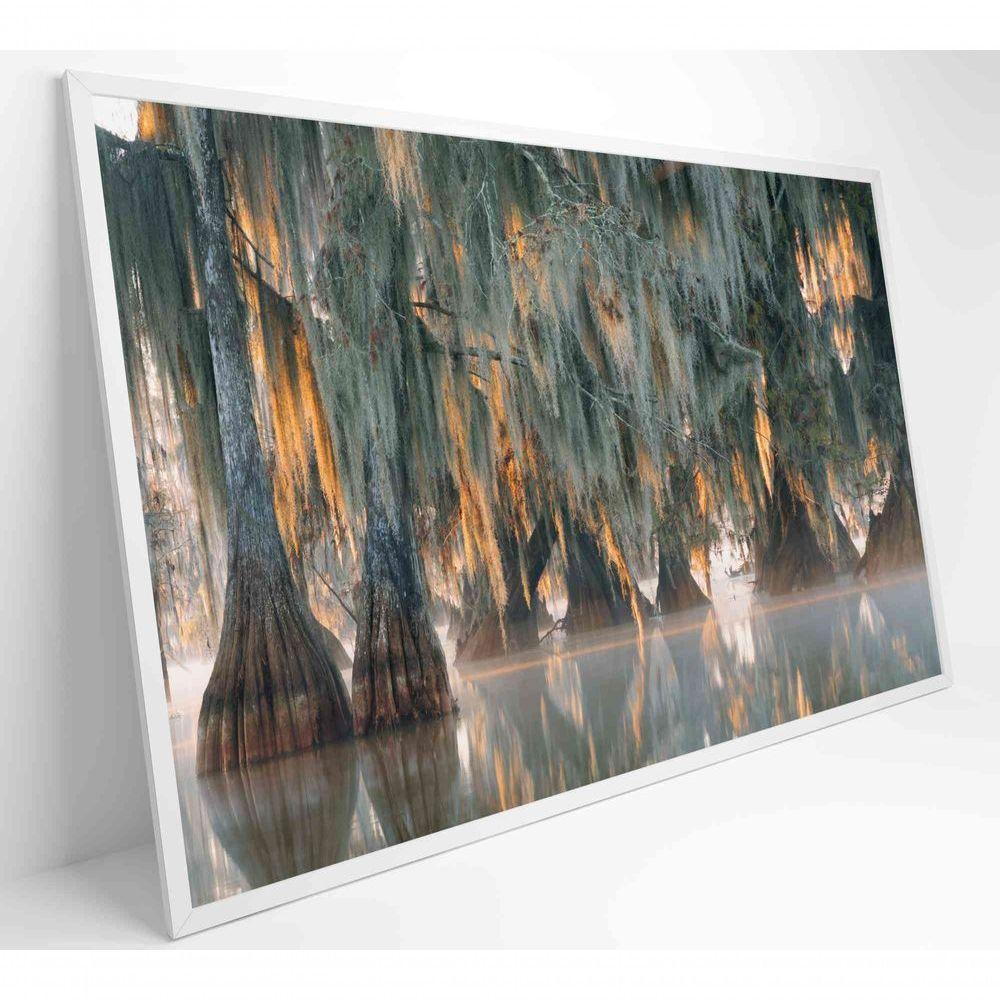 Quadro árvores De Ciprestes No Lago Martin Medidas 60x40 Cm Impressão Tecido Canvas - 1