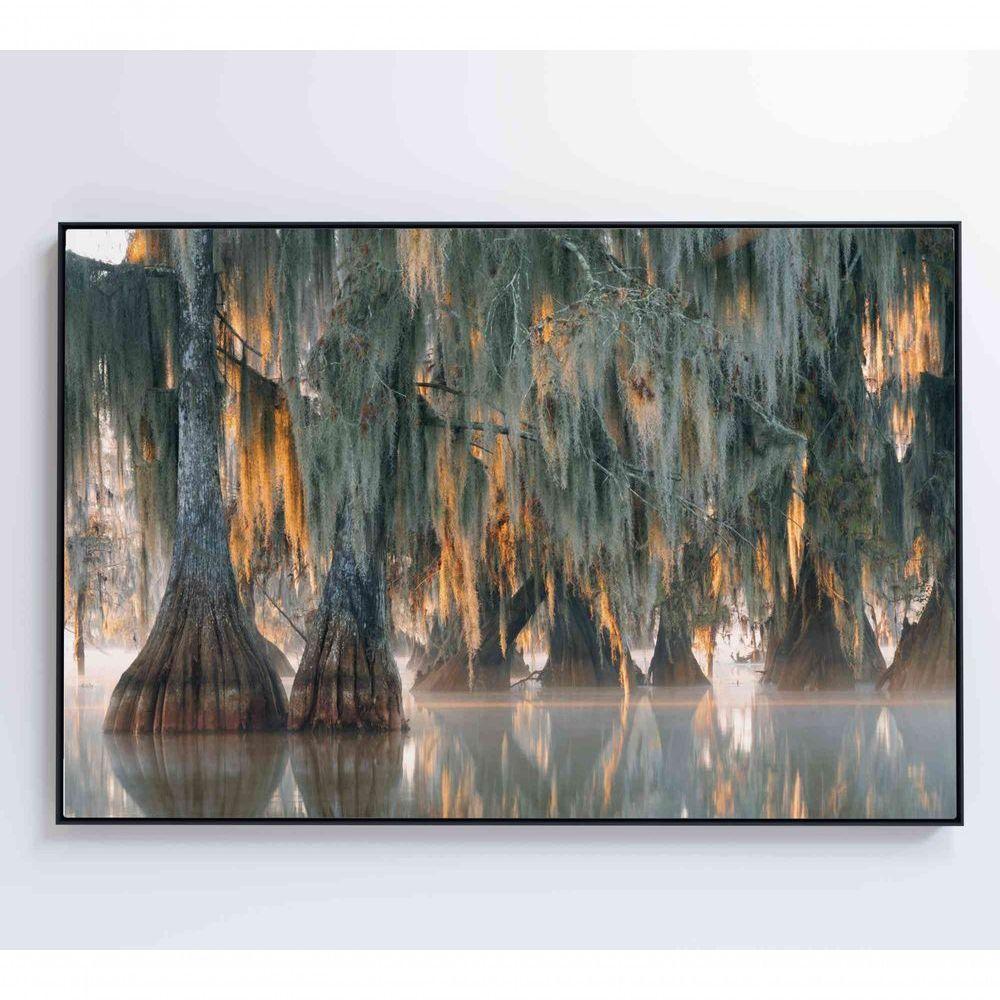 Quadro árvores De Ciprestes No Lago Martin Medidas 60x40 Cm Impressão Tecido Canvas - 5