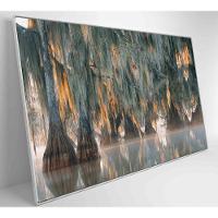 Quadro árvores De Ciprestes No Lago Martin Medidas 60x40 Cm Impressão Tecido Canvas - 3