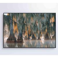 Quadro árvores De Ciprestes No Lago Martin Medidas 60x40 Cm Impressão Tecido Canvas - 5