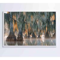 Quadro árvores De Ciprestes No Lago Martin Medidas 60x40 Cm Impressão Tecido Canvas - 6