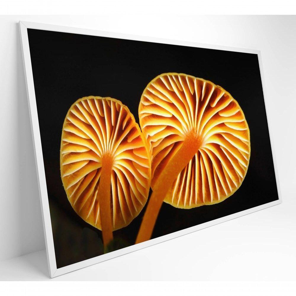 Quadro Cogumelo Da Amazônia Medidas 90x60 Cm Impressão Adesivo Fotográfico - 1