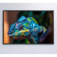 Quadro Camaleão Cores Vibrantes Medidas 120x80 Cm Impressão Tecido Canvas - 3